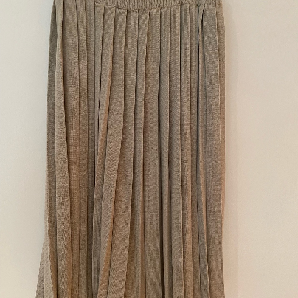 Knee Length Silk Skirt